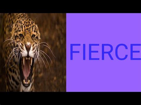 fierce meaning in telugu